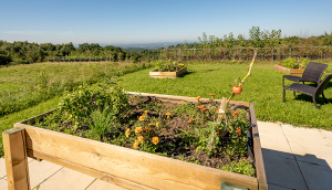 eco-potager aux Collines de Sainte Féréole